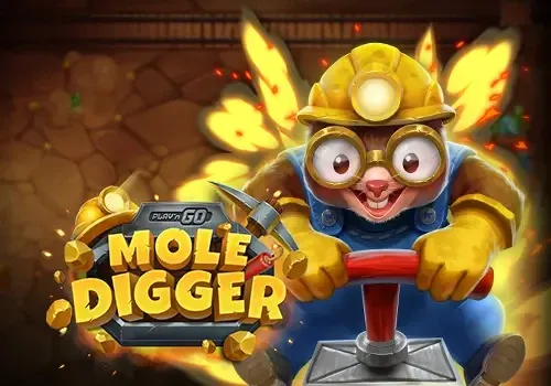 Playn GO Mole Digger - MG138